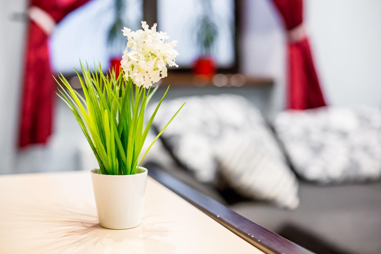 Alfa Apartments Uzhgorodska Lviv Ngoại thất bức ảnh